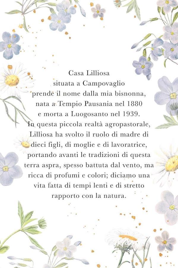 Вилла Casa Lilliosa Campavaglio Экстерьер фото