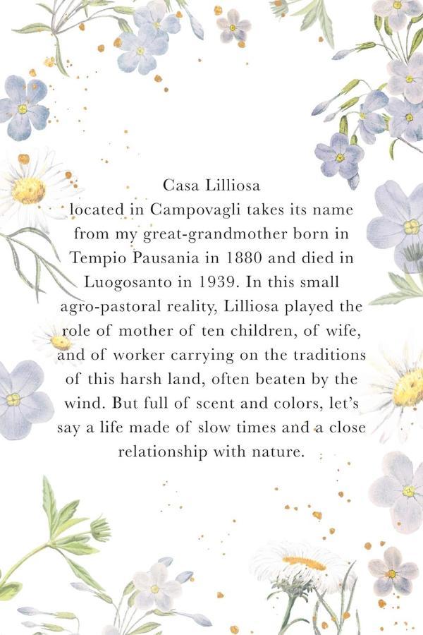 Вилла Casa Lilliosa Campavaglio Экстерьер фото