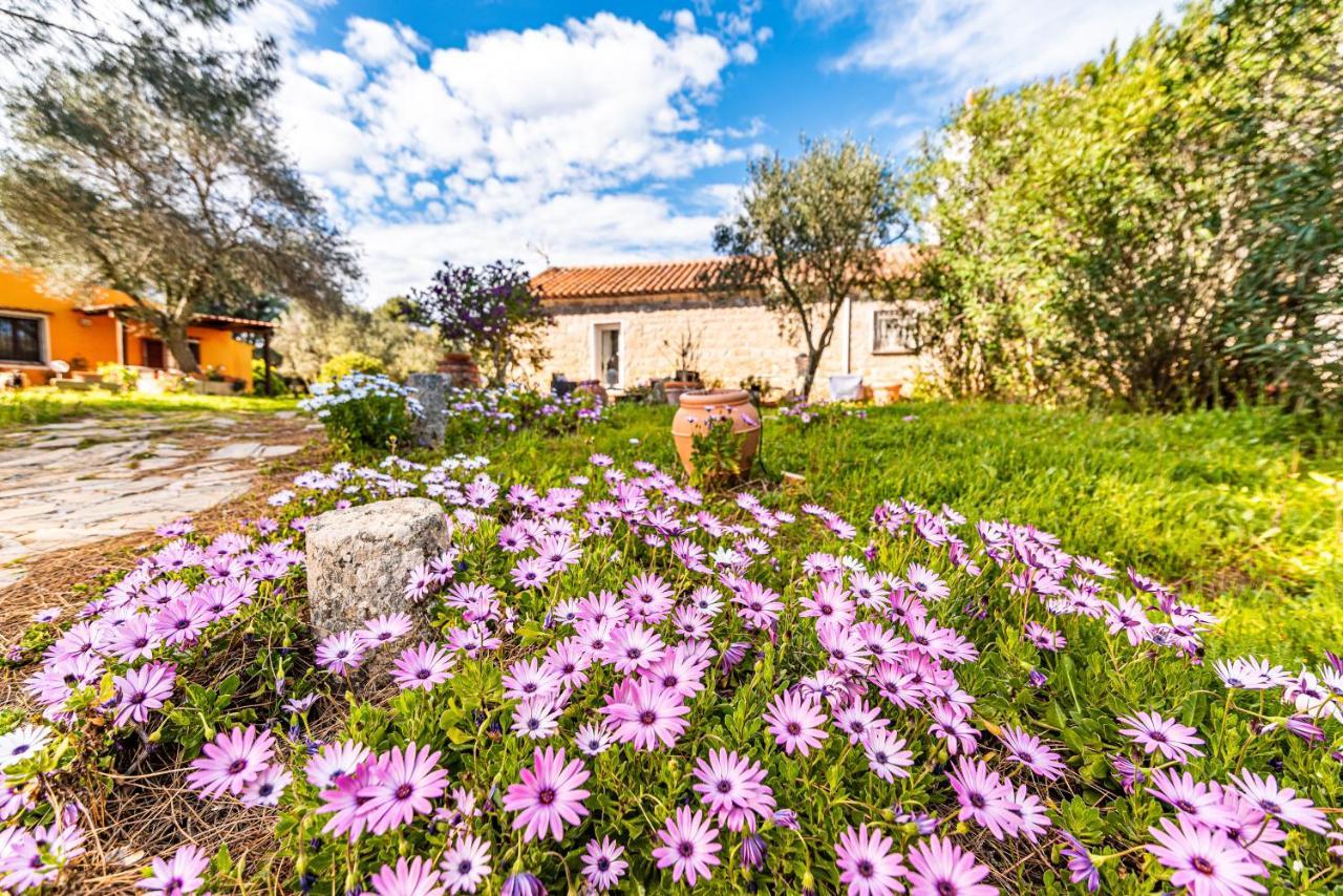 Вилла Casa Lilliosa Campavaglio Экстерьер фото